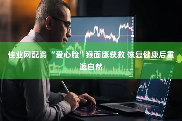 佳业网配资 “爱心脸”猴面鹰获救 恢复健康后重返自然
