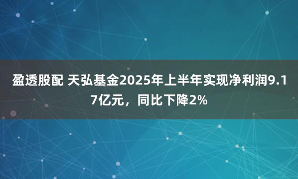 盈透股配 天弘基金2025年上半年实现净利润9.17亿元，同比下降2%