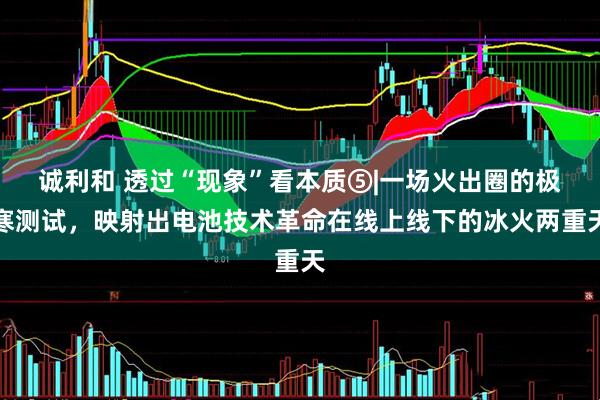 诚利和 透过“现象”看本质⑤|一场火出圈的极寒测试，映射出电池技术革命在线上线下的冰火两重天